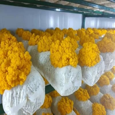 光伏储能智慧植培空间站