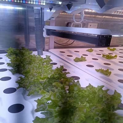 果蔬方舱立体栽培