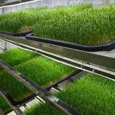 移动式智能牧草种植空间站