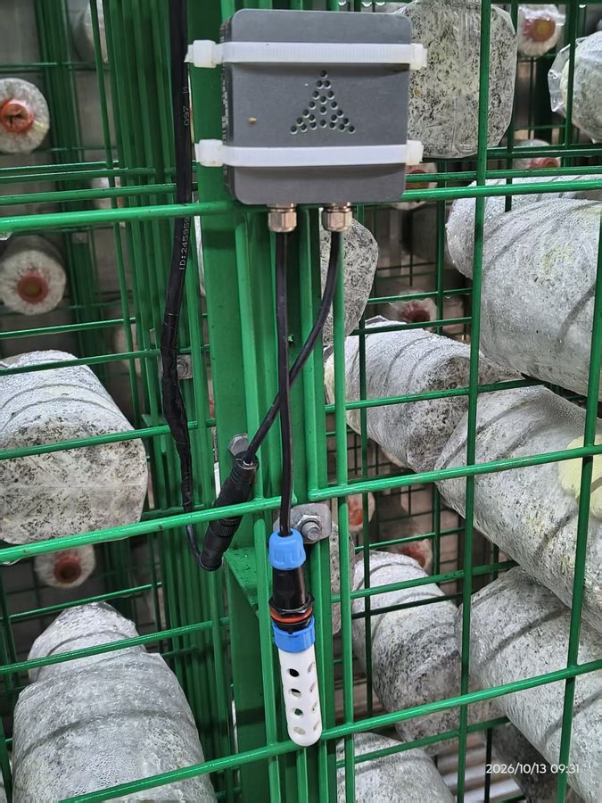 E-02 现场实拍1