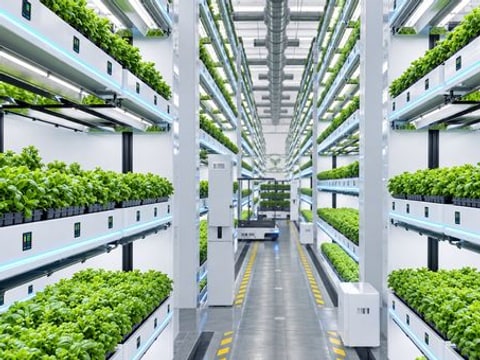植物工厂专属智能体发布,人工智能加速融入智慧植培管理
