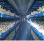 Complete Strain Cultivation Equipment Container